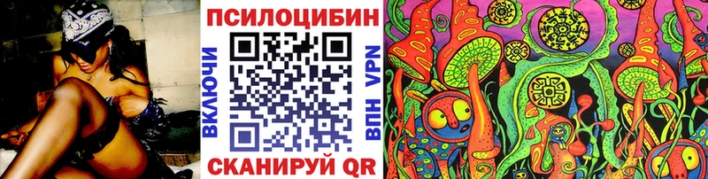 kraken зеркало  Кудымкар  Галлюциногенные грибы прущие грибы 