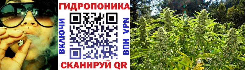 Бошки Шишки Bruce Banner  цена наркотик  ссылка на мегу ONION  Кудымкар 